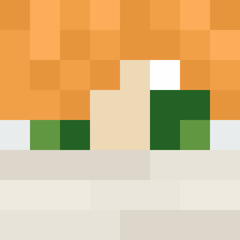 xX_No_Income_Xx's skin