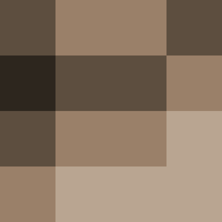 ShakaYami's skin