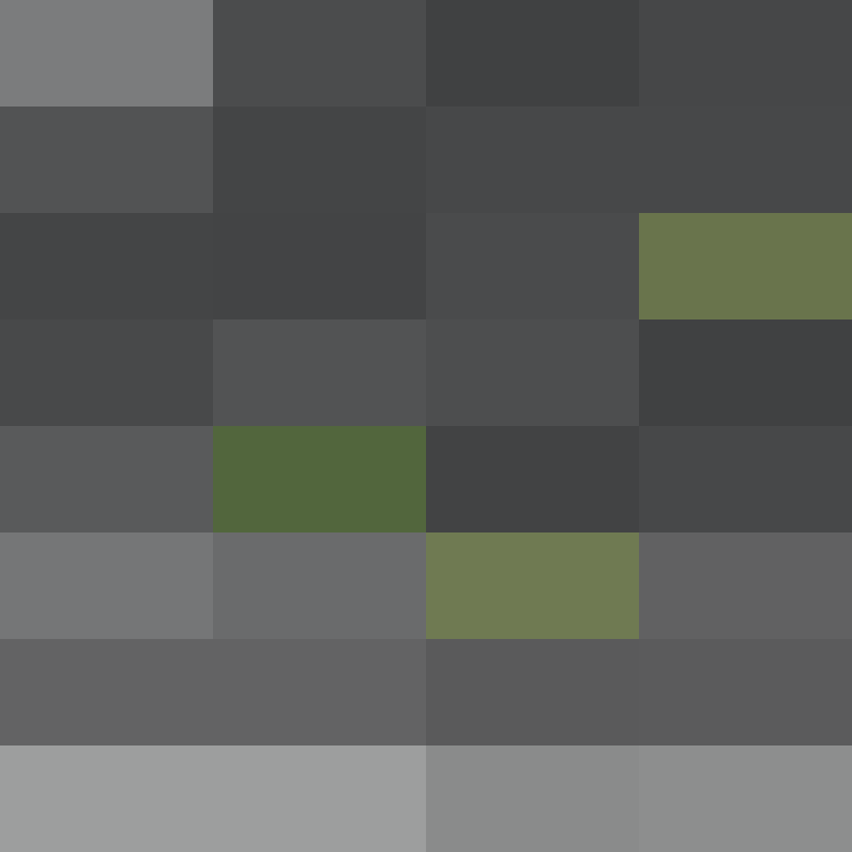Lenticchie's skin