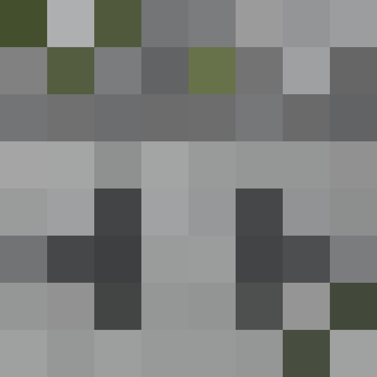 AutoSkin's skin