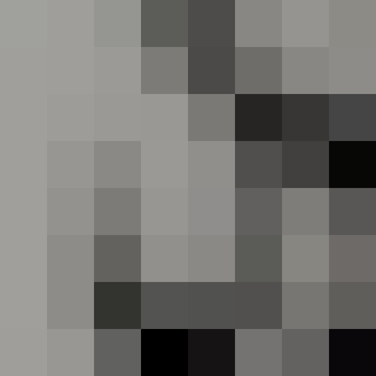 zervation's skin