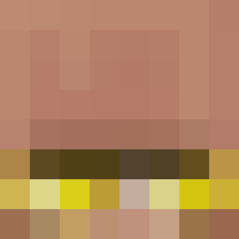 CeilingBird's skin