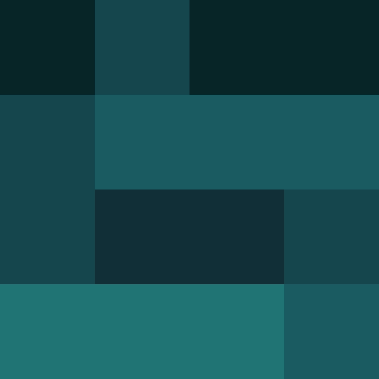 BradBot_2's skin