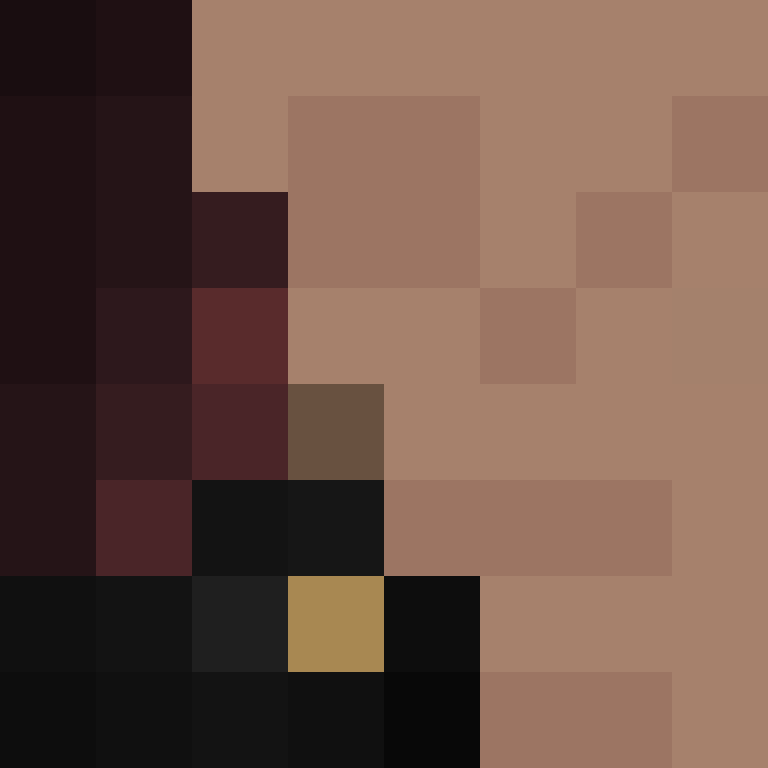 BradBot_2's skin