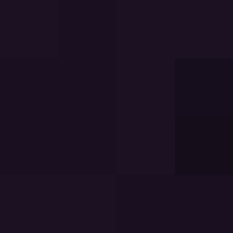 AutoSkin's skin