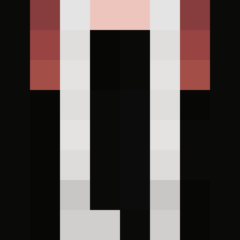BukkitAPI's skin