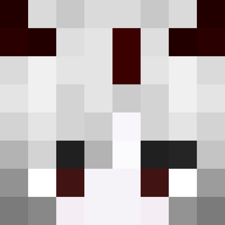 wiredframe's skin