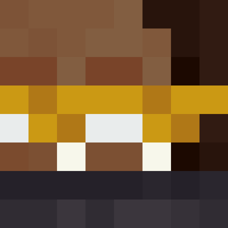 8aca680b22461340's skin
