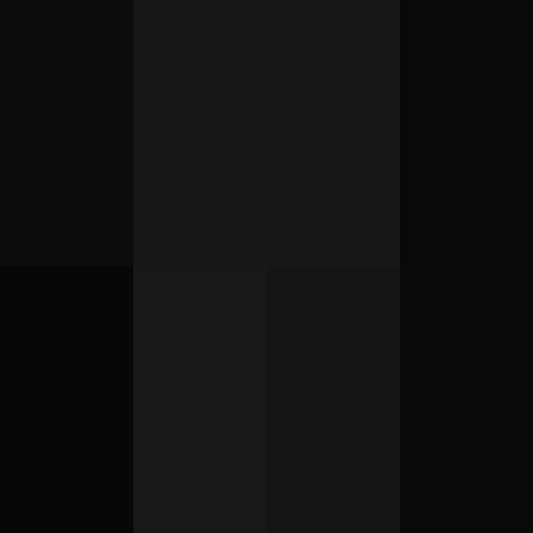 CeilingBird's skin