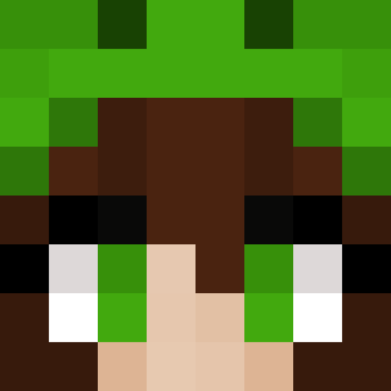 wiredframe's skin