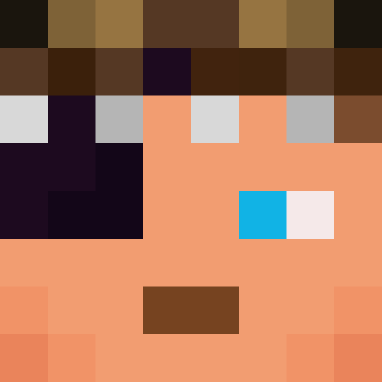 CeilingBird's skin