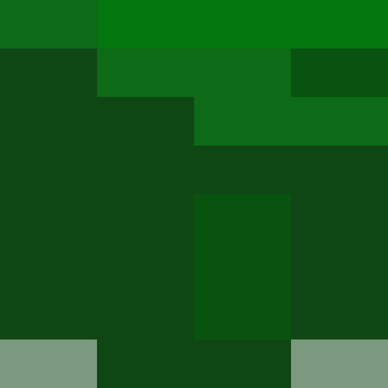 Mine_Skin's skin