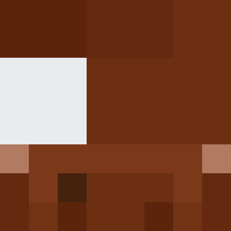 AutoSkin's skin