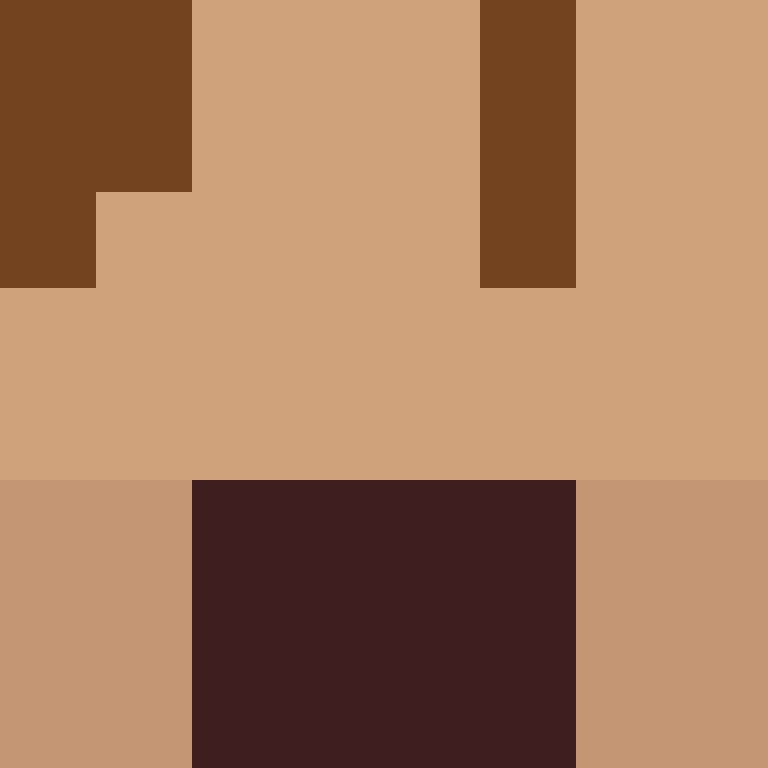 DargiV's skin