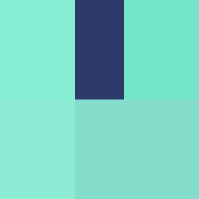 TheCuriousMiner's skin