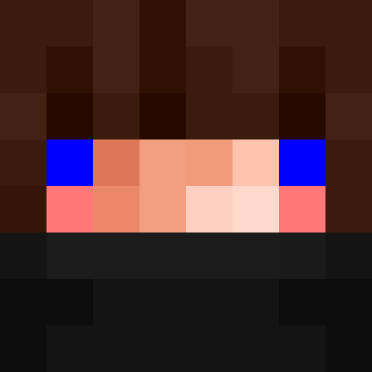 8aca680b22461340's skin