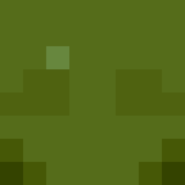 Respondents's skin