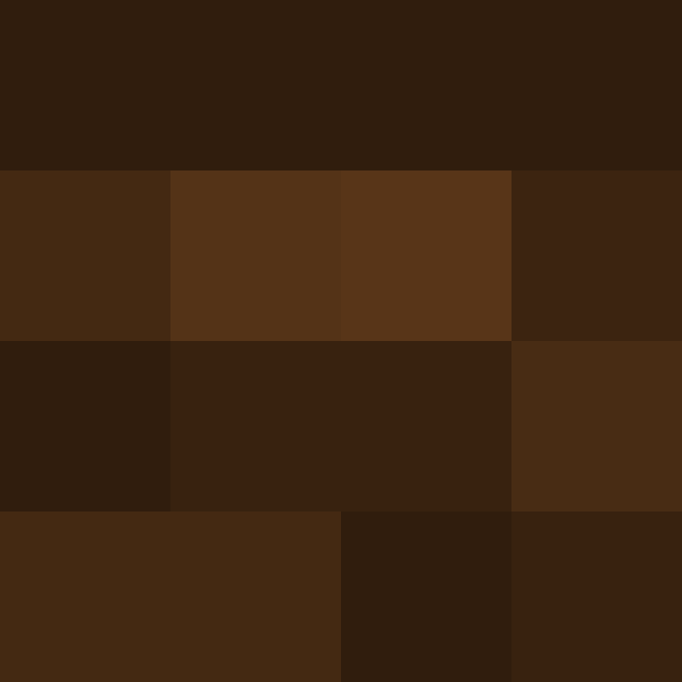 BukkitAPI's skin