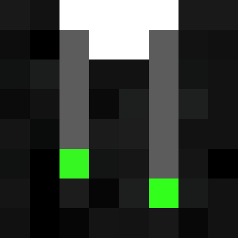 wiredframe's skin