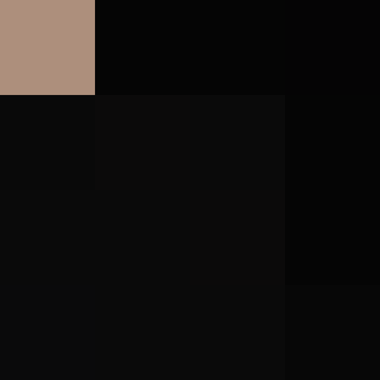 PtakopyskCZ's skin