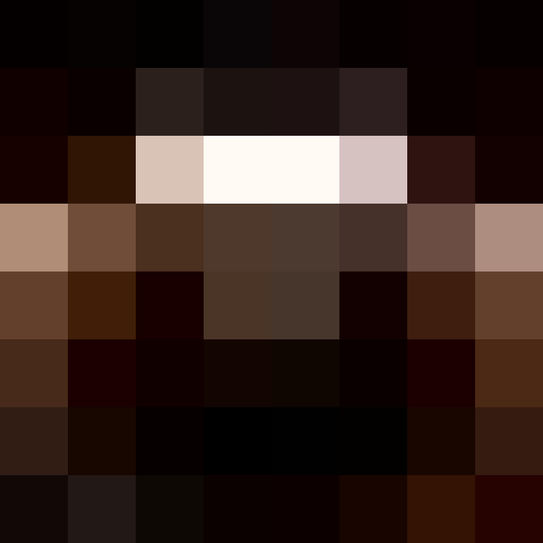 CeilingBird's skin