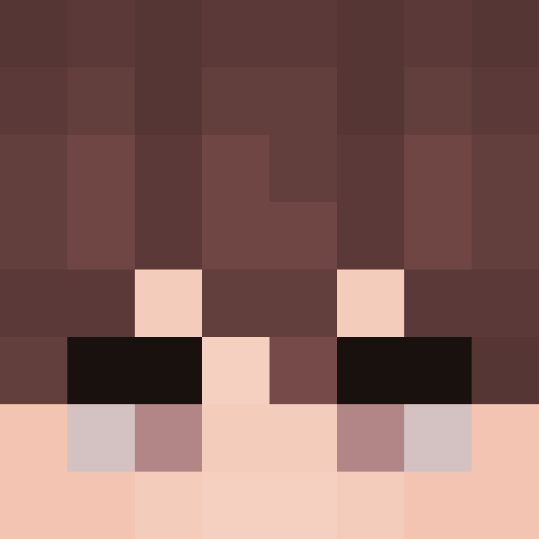 8aca680b22461340's skin