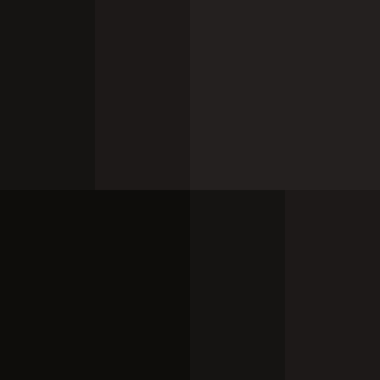PtakopyskCZ's skin