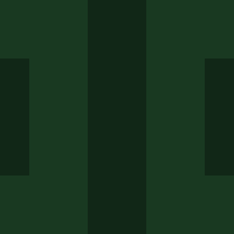 kiwi4812's skin