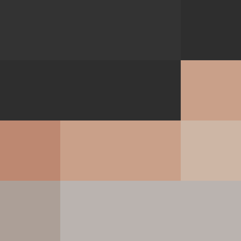 Bolshebricks's skin