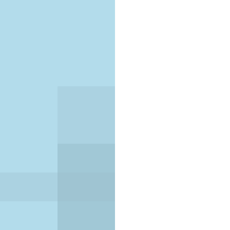PtakopyskCZ's skin