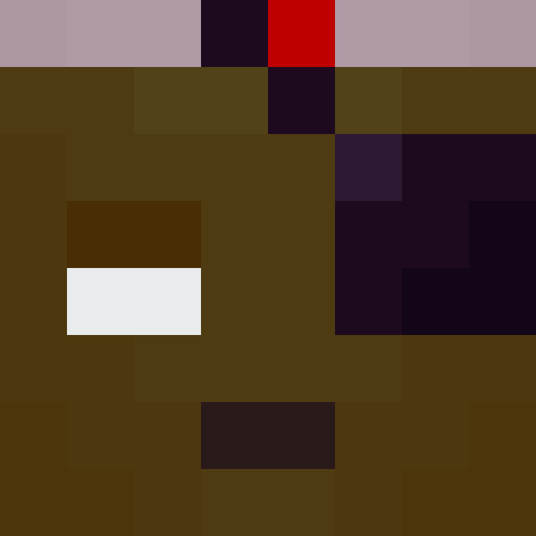 Auntbrix's skin