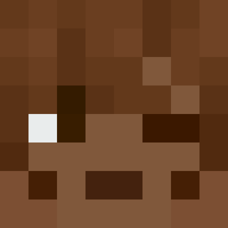 xX_No_Income_Xx's skin