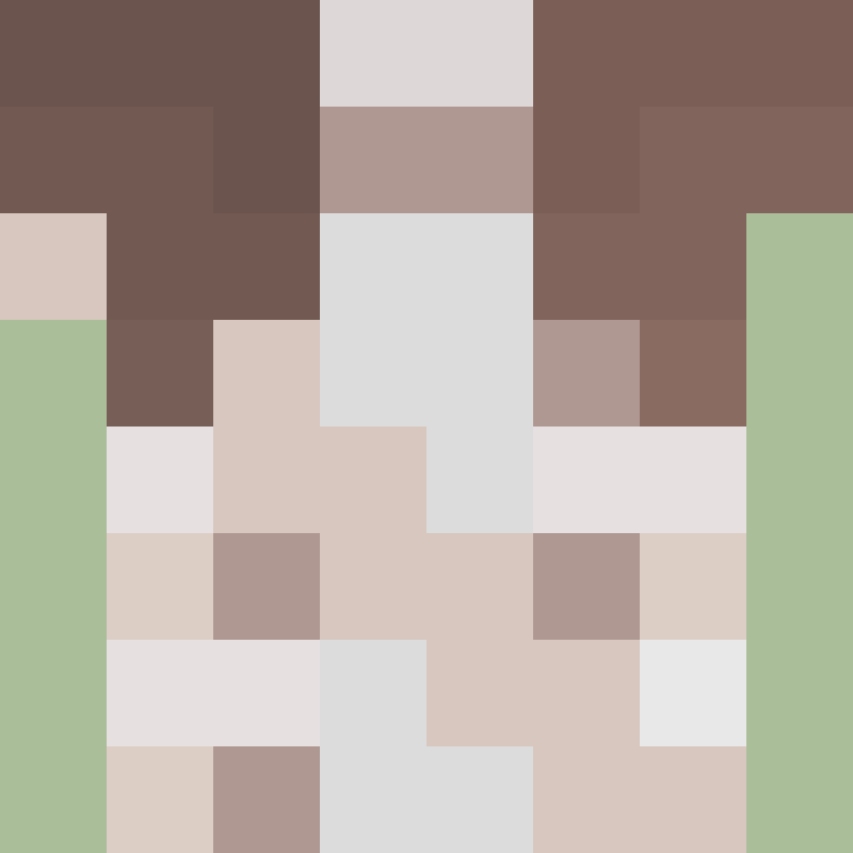 8aca680b22461340's skin