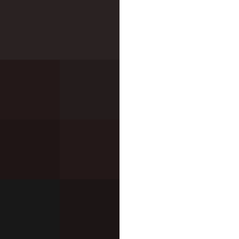 dragloner's skin