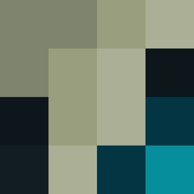 v4r1n's skin