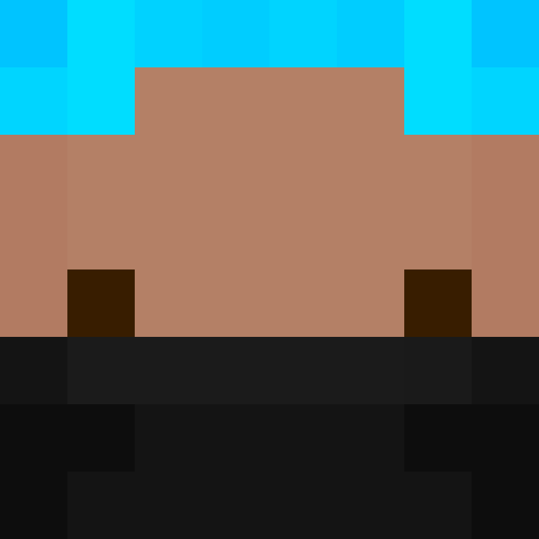 xX_No_Income_Xx's skin
