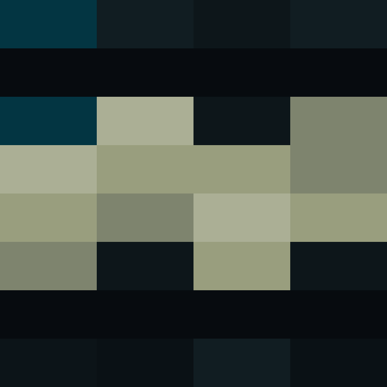PtakopyskCZ's skin