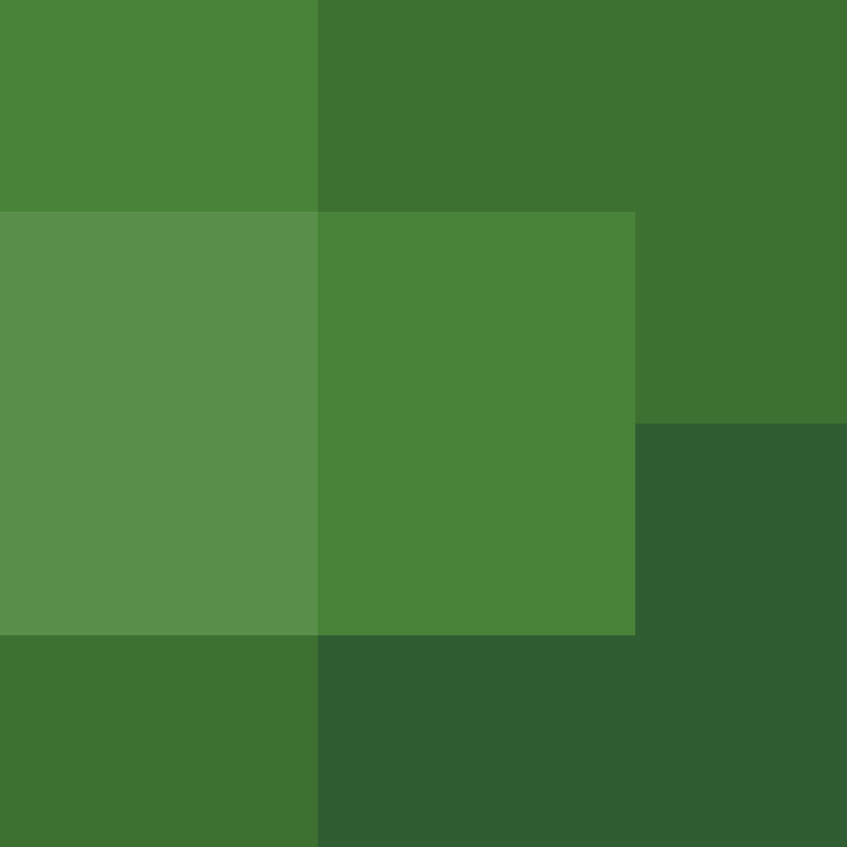 1etho's skin