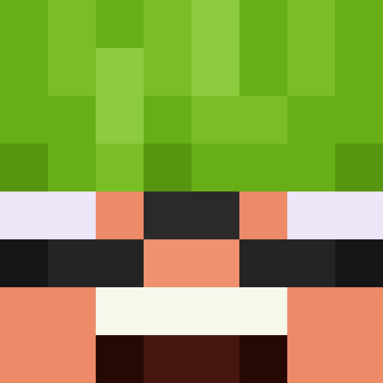 TheCuriousMiner's skin