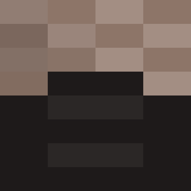 8aca680b22461340's skin