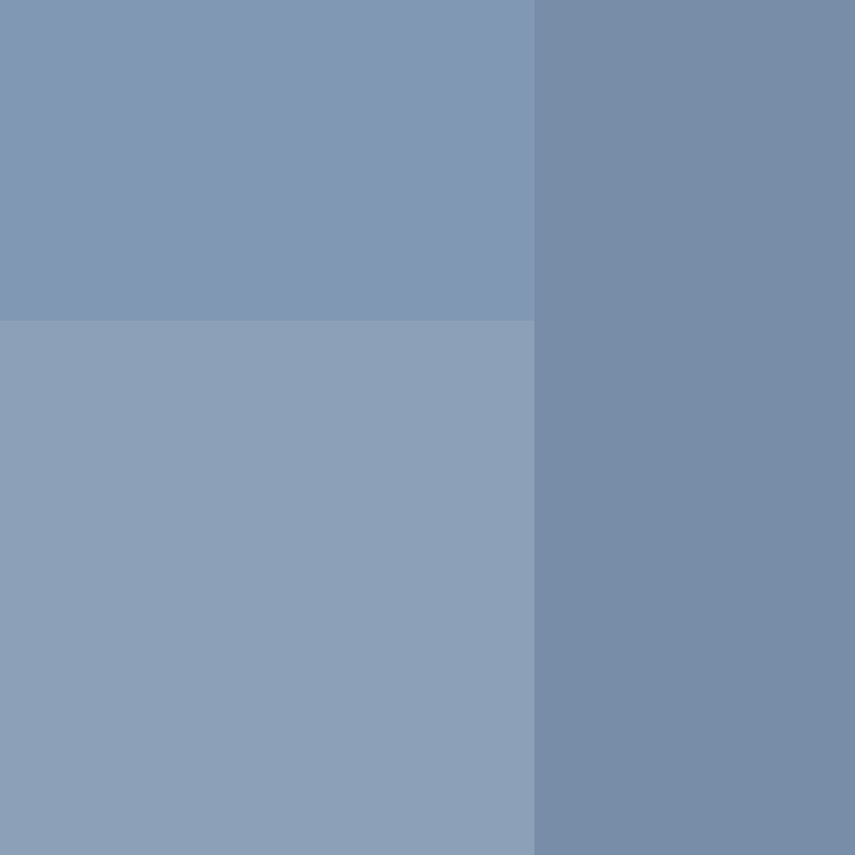 AdamTheHedgehog's skin