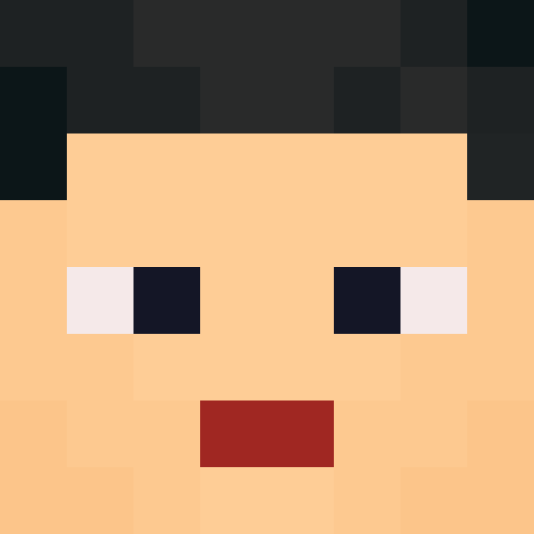 wiredframe's skin
