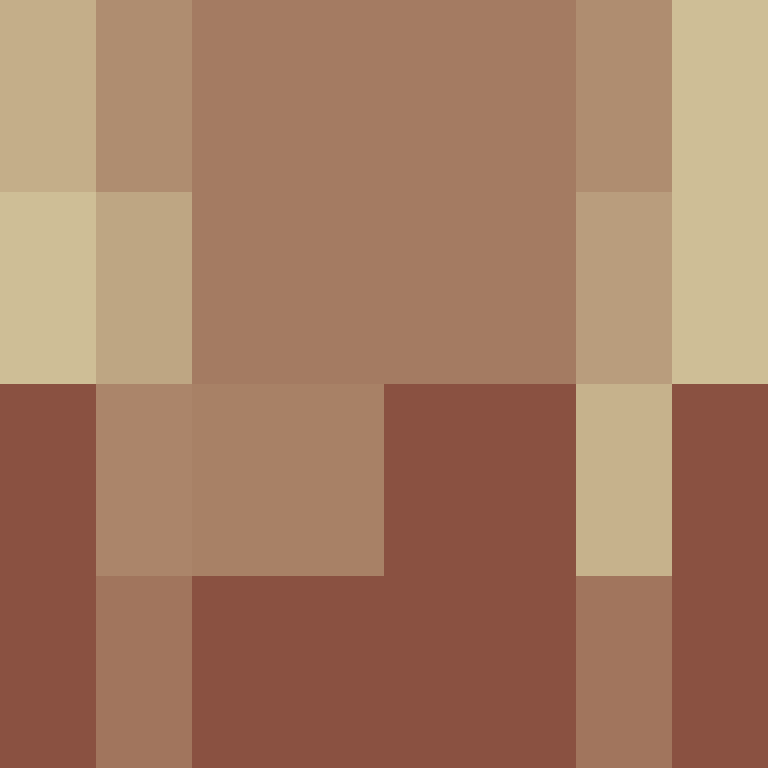 Piedrita17's skin