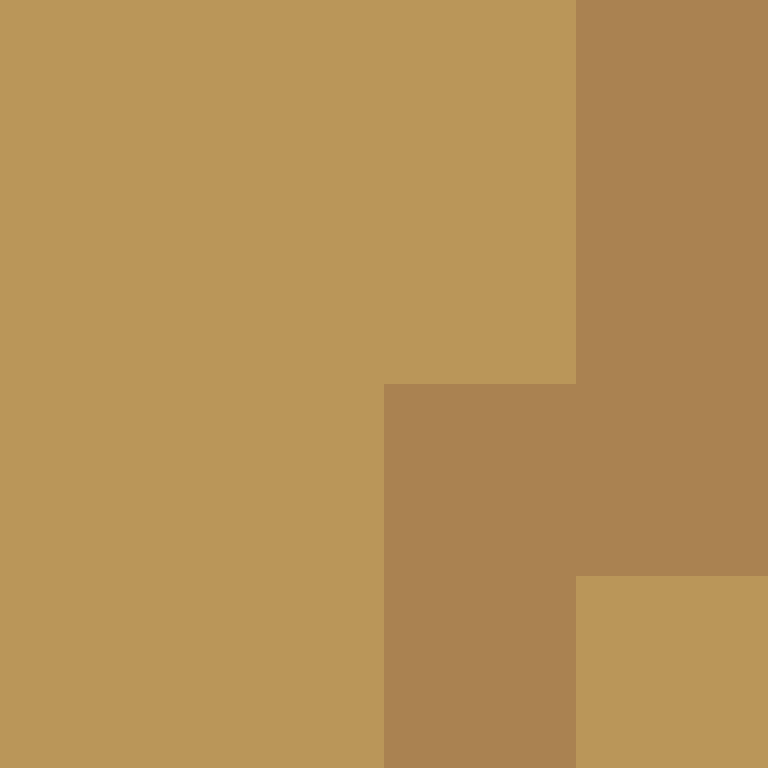 Cartizoll's skin