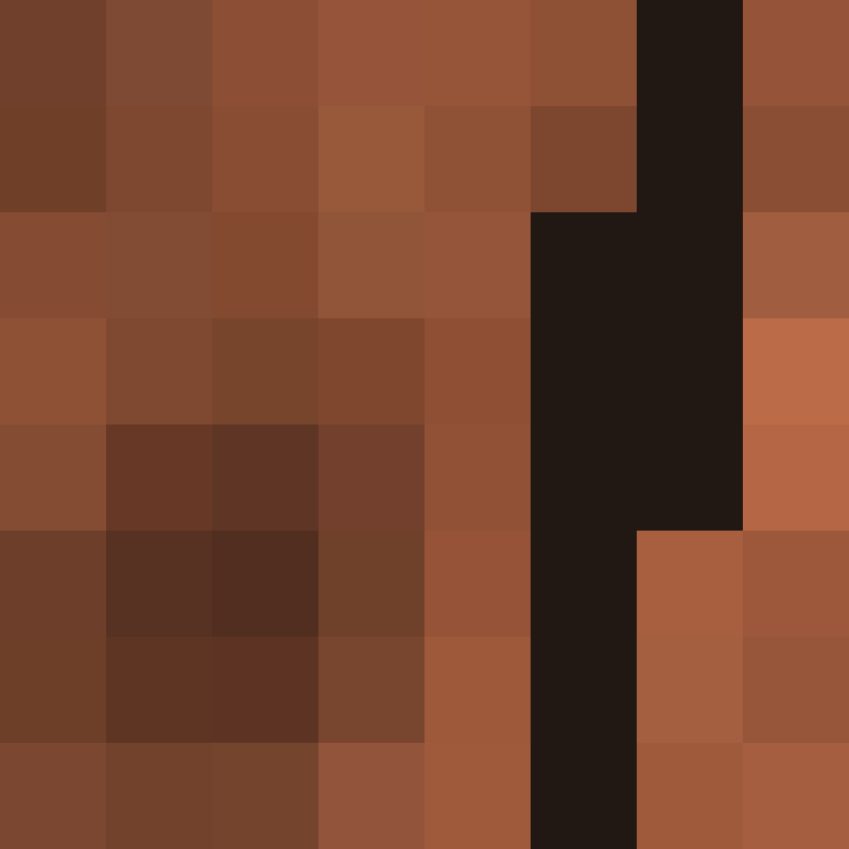TheCuriousMiner's skin