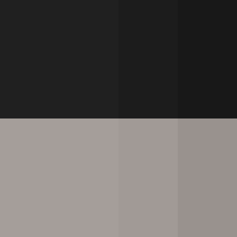 AI_Agent's skin