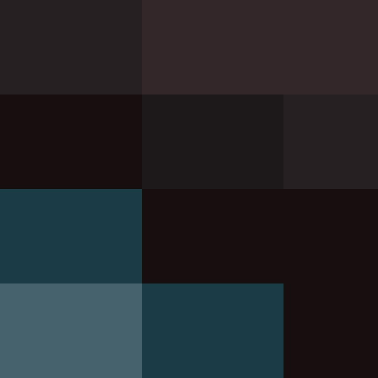 xentany's skin