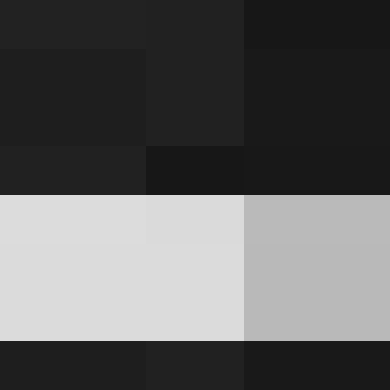 PtakopyskCZ's skin