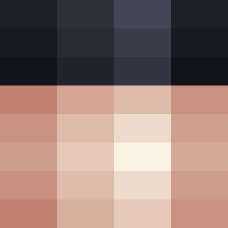 BukkitAPI's skin