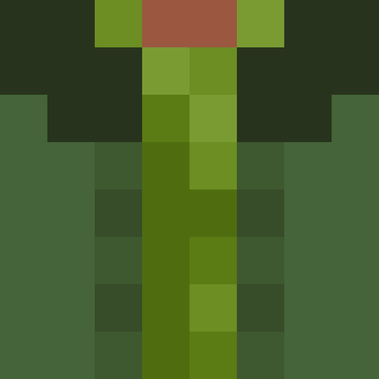 xentany's skin